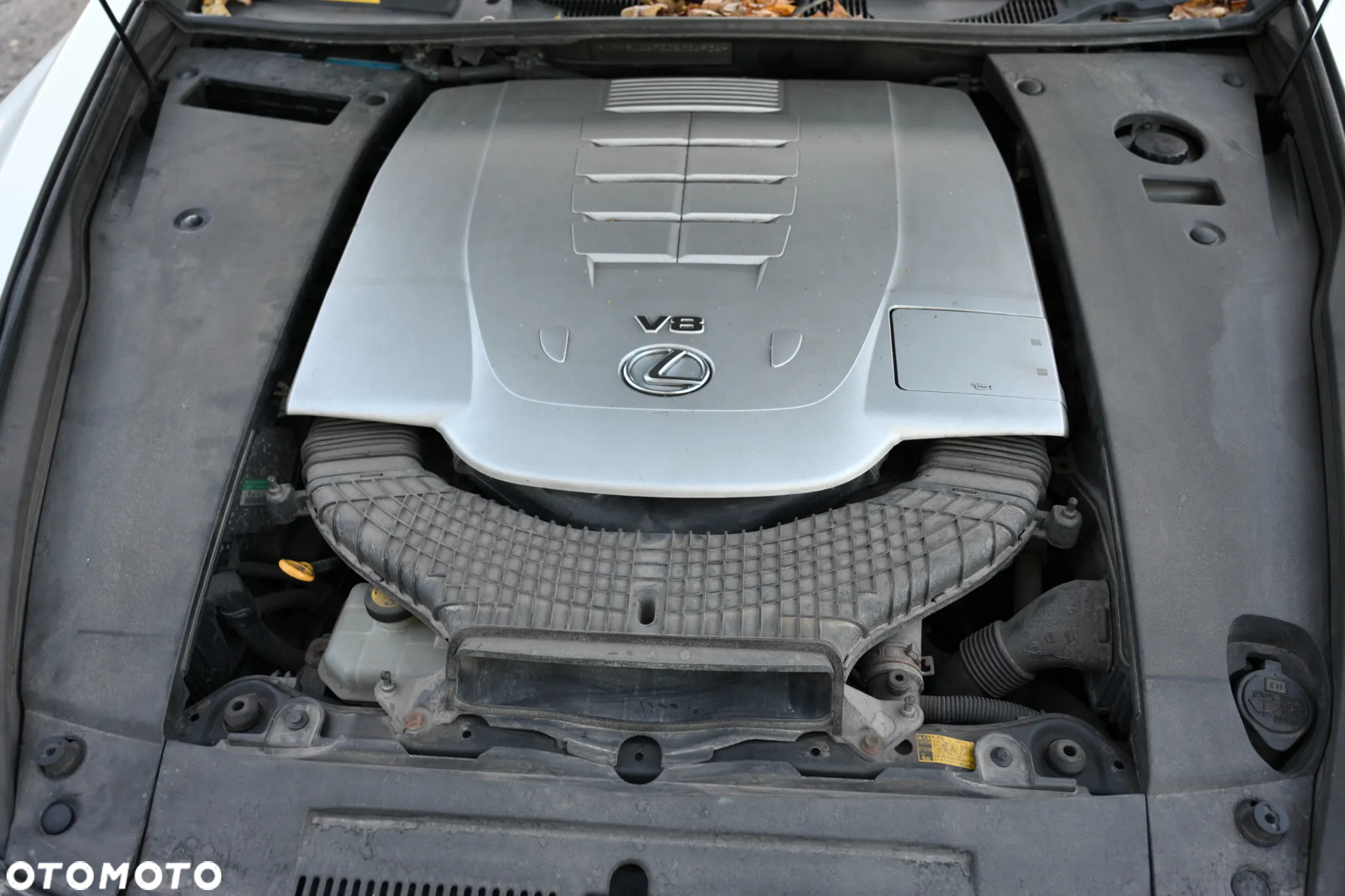 Lexus LS 460 Dynamic Line + Impression Line - 9