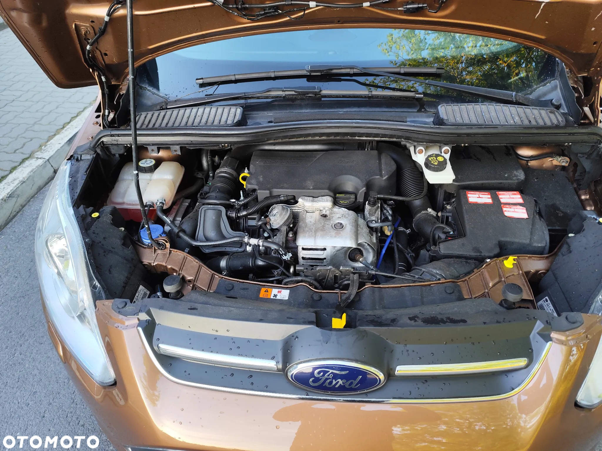 Ford Grand C-MAX 1.0 EcoBoost Start-Stopp-System Champions Edition - 17