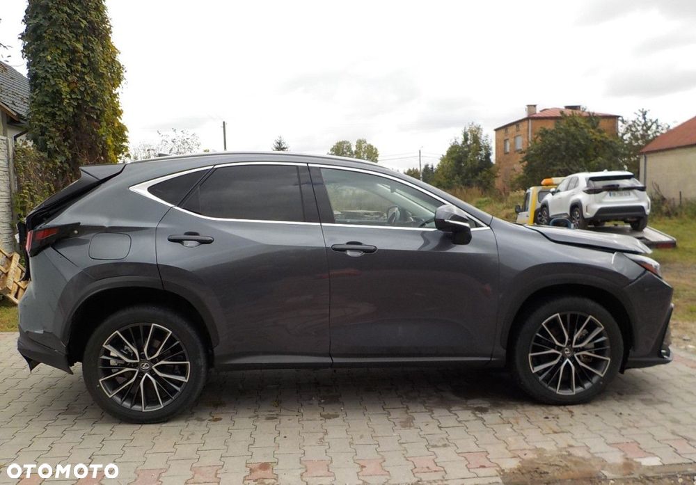 Lexus NX - 19