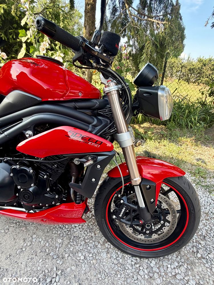 Triumph Speed Triple - 32