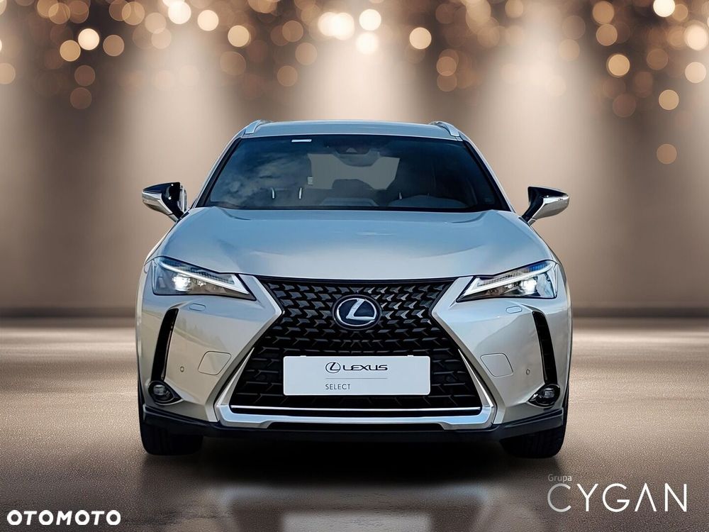 Lexus UX 250h GPF Business 2WD - 10