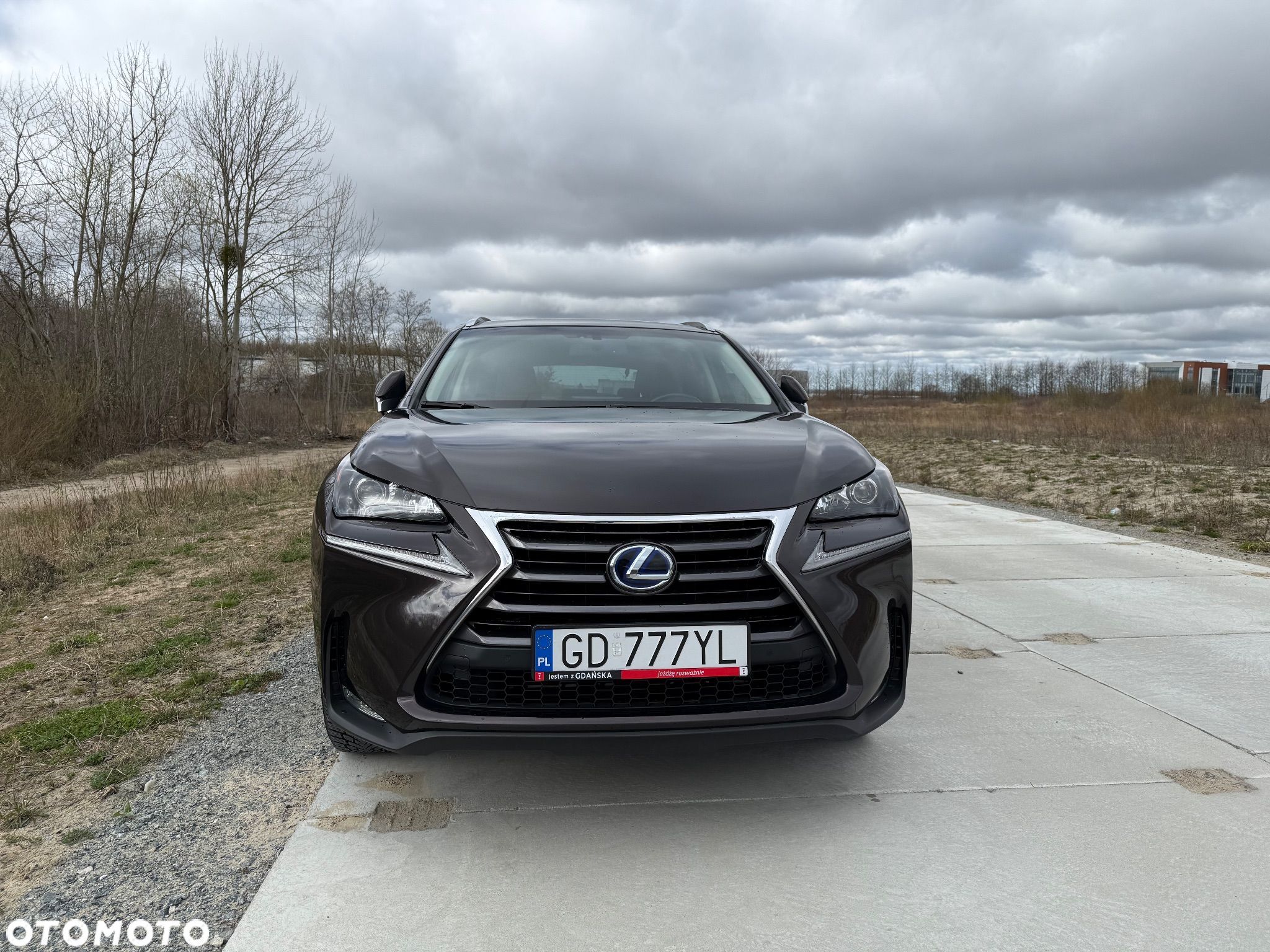 Lexus NX - 1