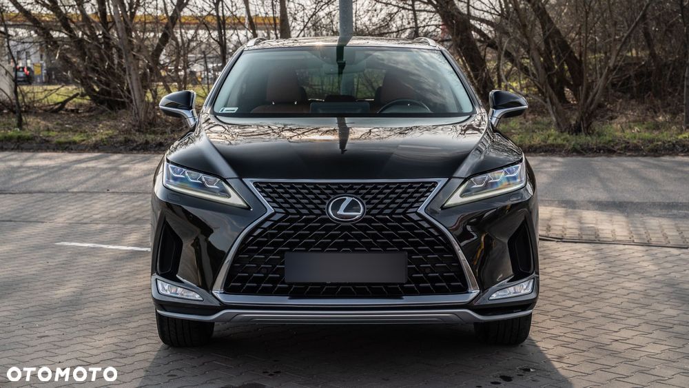 Lexus RX 300 Business Edition + - 10