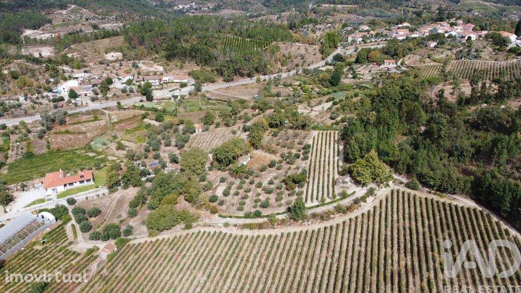 Terreno em Germil de 11374,00 m2 - Grande imagem: 5/5