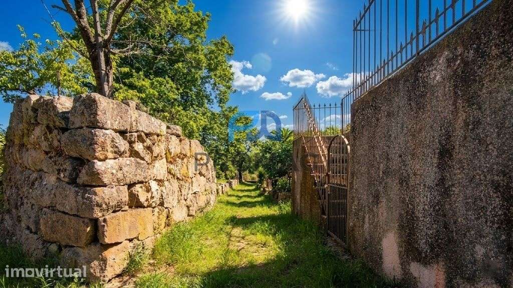 Terreno com Excelentes Vistas- Ótimo Investimento - Grande imagem: 3/14