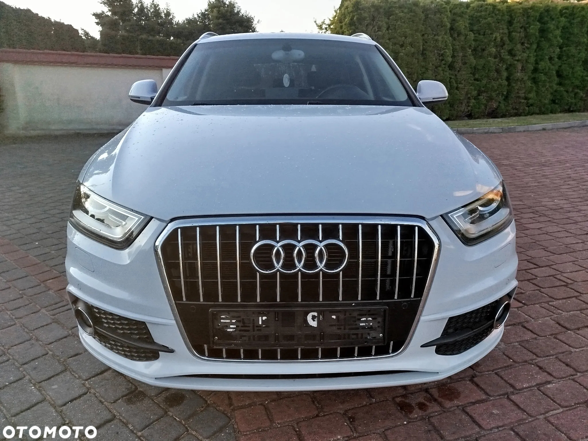 Audi Q3 2.0 TDI Edycja Specjalna - 10