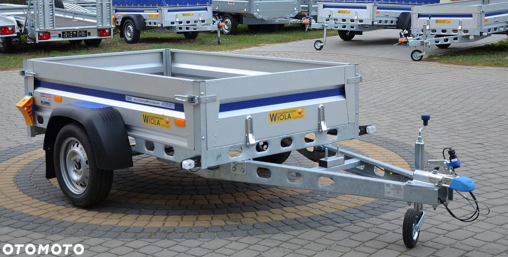 Wiola Kujawiak - 11