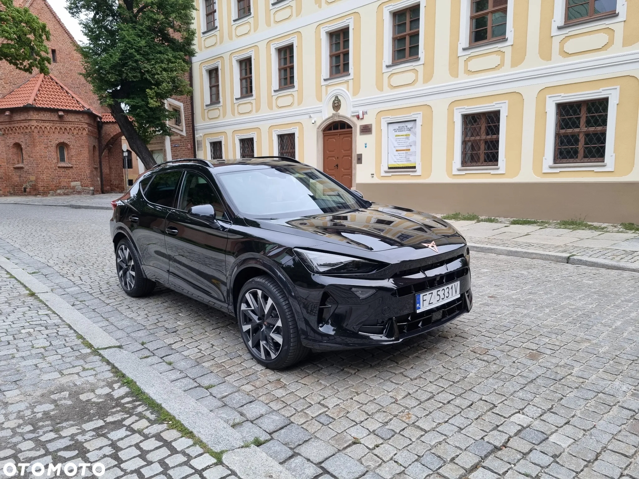 Cupra Formentor 2.0 TDI DSG - 23