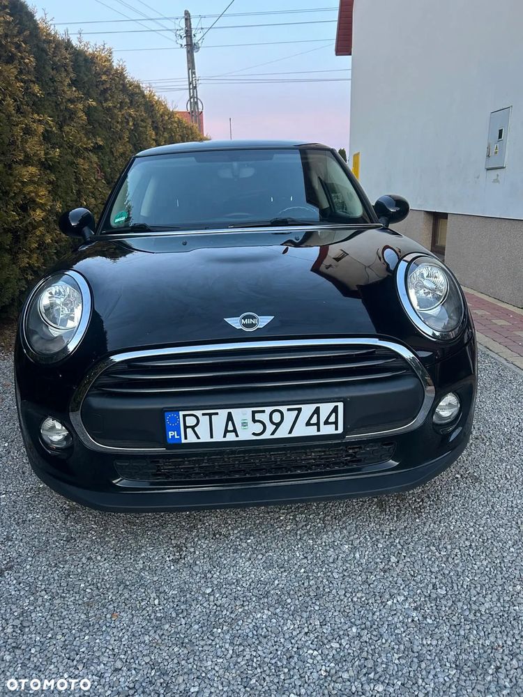 MINI ONE Blackyard - 5