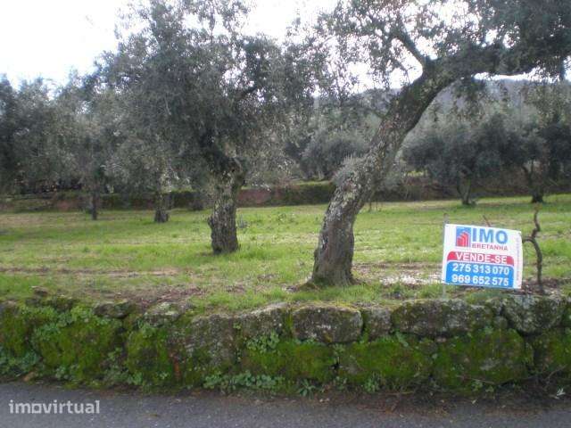Terreno  Venda em Ferro,Covilhã - Grande imagem: 2/6