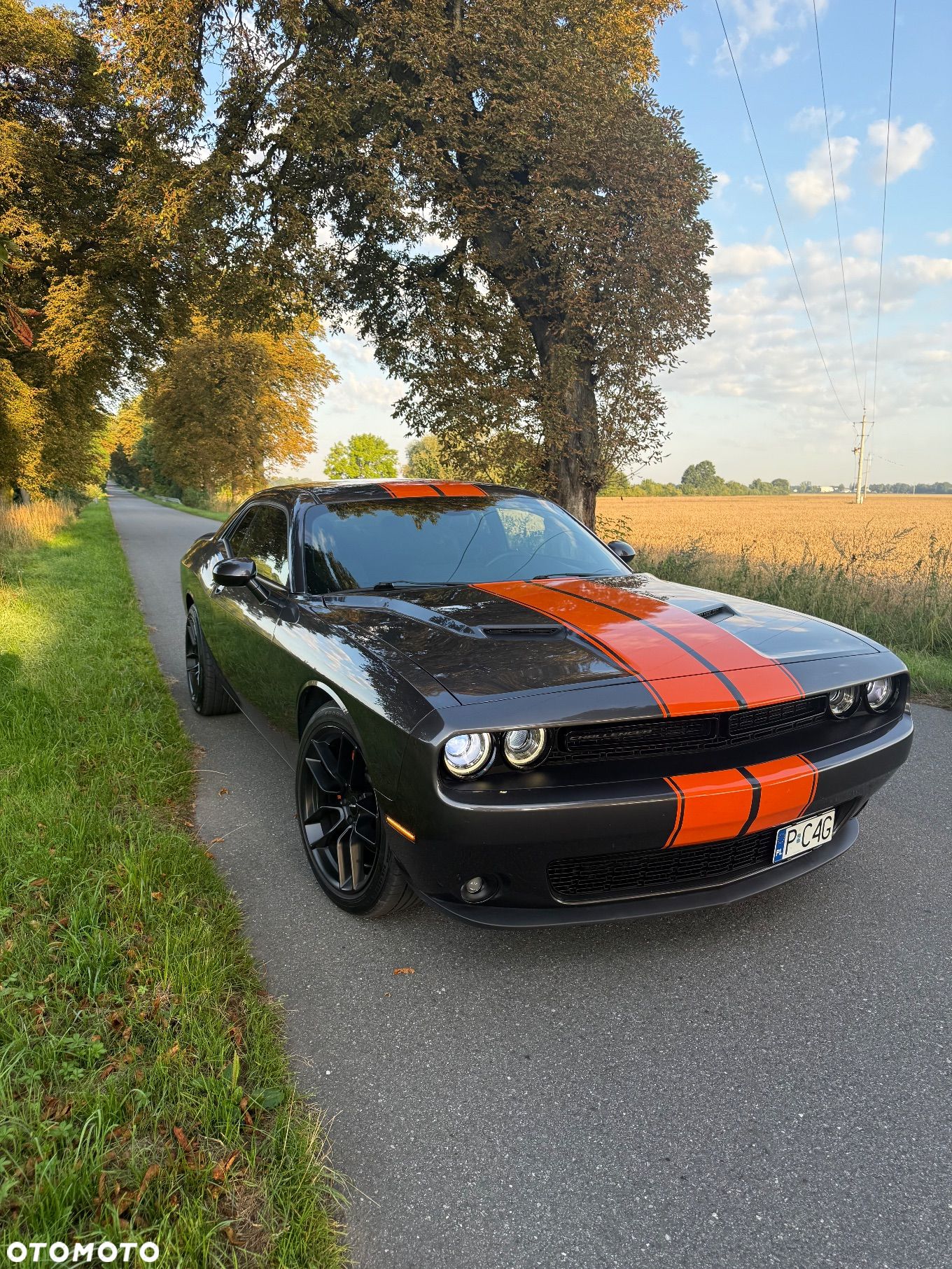 Dodge Challenger Automatik SXT Plus - 1