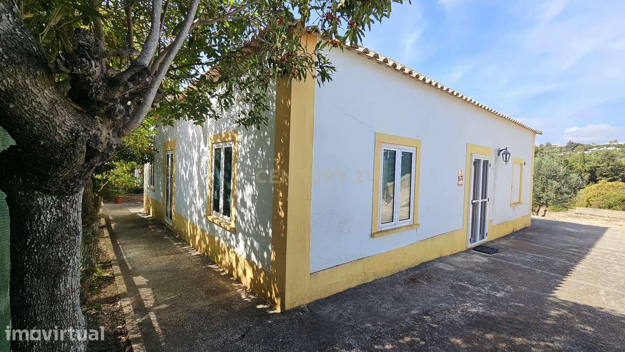 Quinta em Lagos, Praia da Luz,  46.000 m2, 2 casas e 2 Armazéns - Grande imagem: 4/40