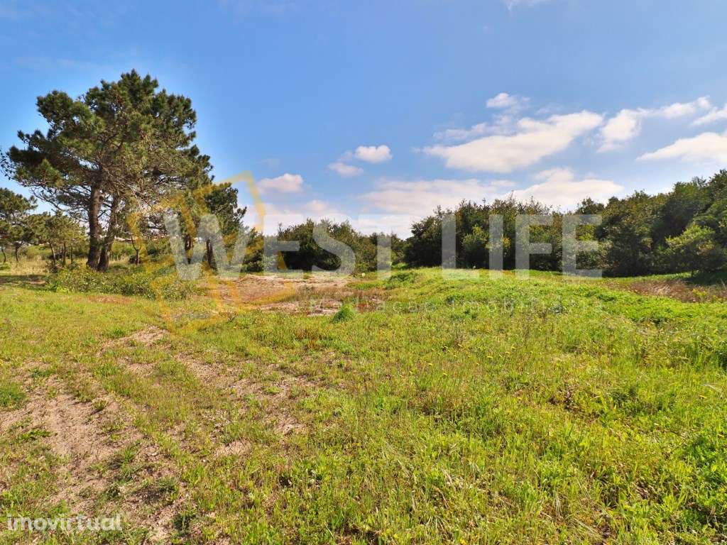 Terreno URBANO com 45.000m2 PLANO com grande potencial e ótima loca... - Grande imagem: 2/13