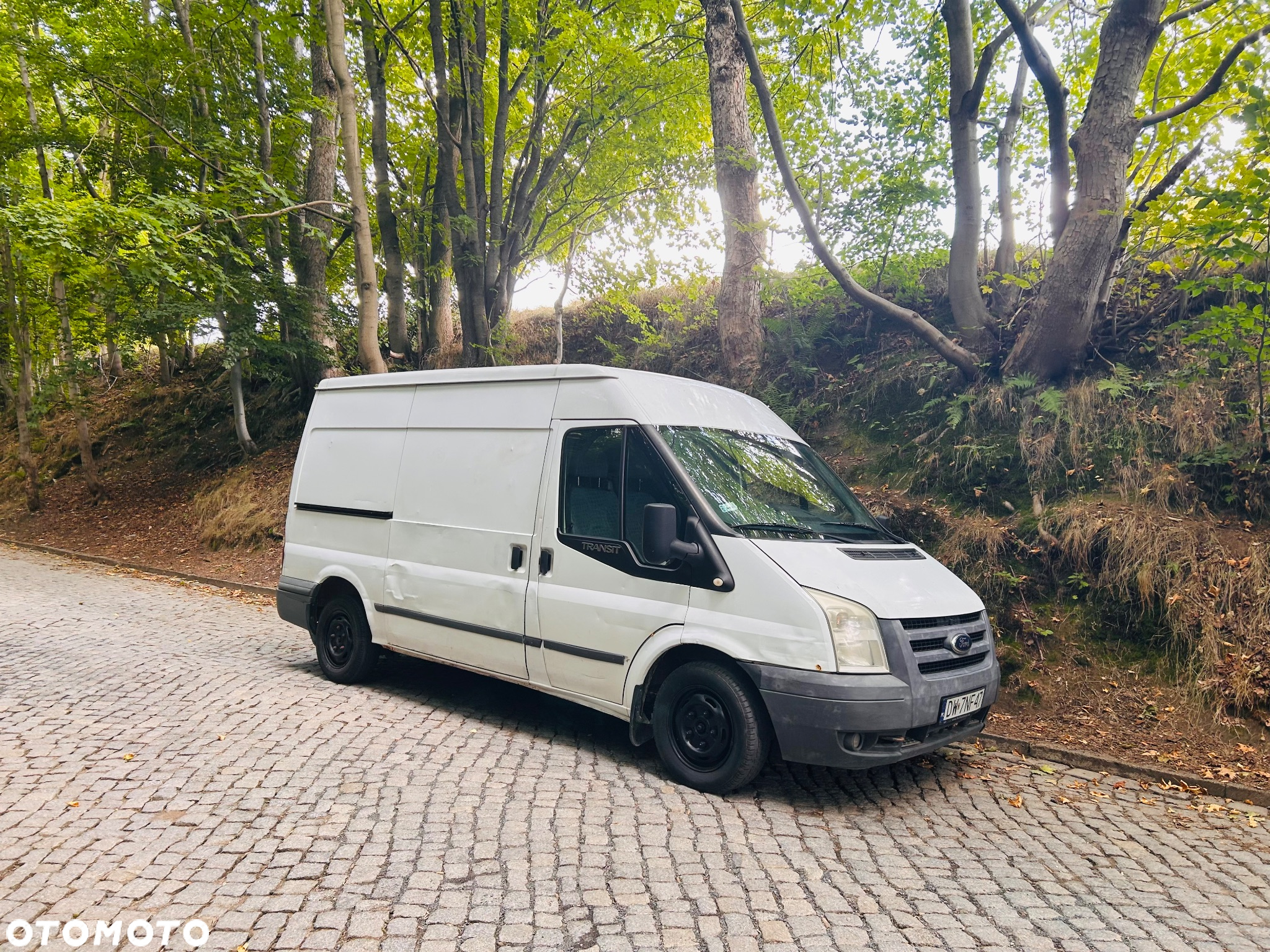 Ford Transit - 3