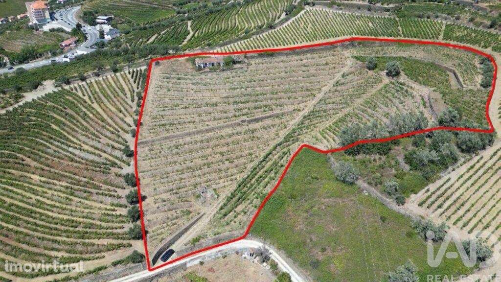 Casa de Campo T4 em Peso da Régua e Godim de 343,00 m2 - Grande imagem: 2/25