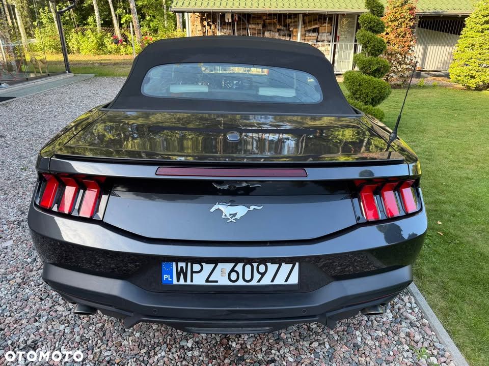 Ford Mustang Cabrio 2.3 Eco Boost - 3