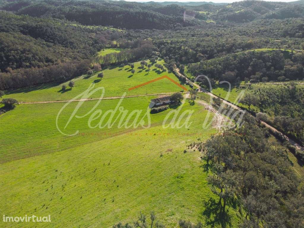 Monte Alentejano de 36ha com 3 ruinas - Pego das Pias - Odemira - Grande imagem: 2/31