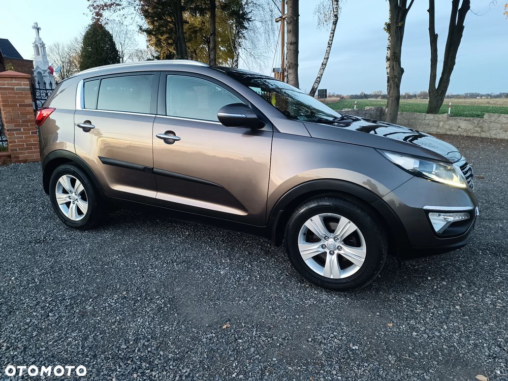 Kia Sportage 1.6 GDI Business Line L 2WD - 15