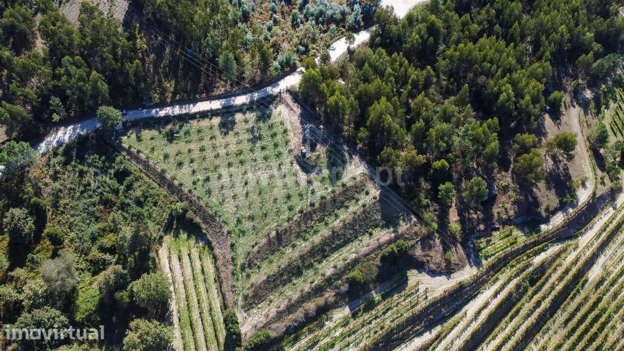 Terreno / Penafiel, Recezinhos (São Martinho) - Grande imagem: 3/6