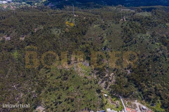 Terreno Florestal em Póvoa de Lanhoso - Grande imagem: 5/7