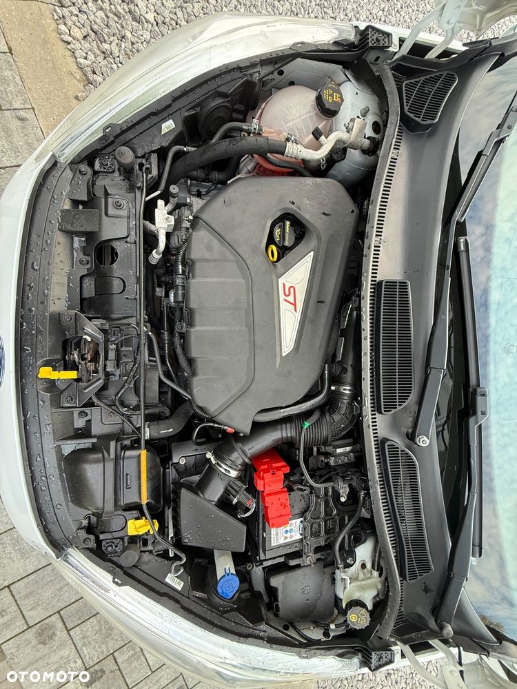 Ford Fiesta 1.6 EcoBoost ST - 32