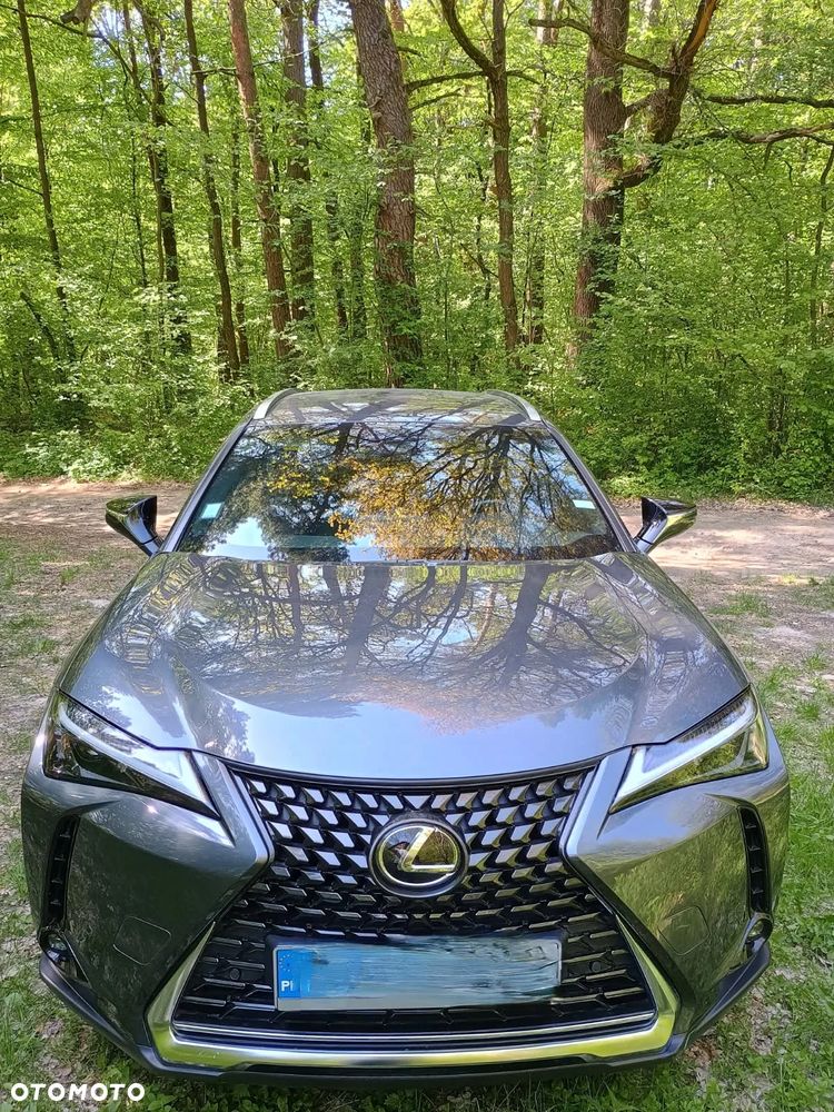 Lexus UX 250h Prestige 2WD - 5