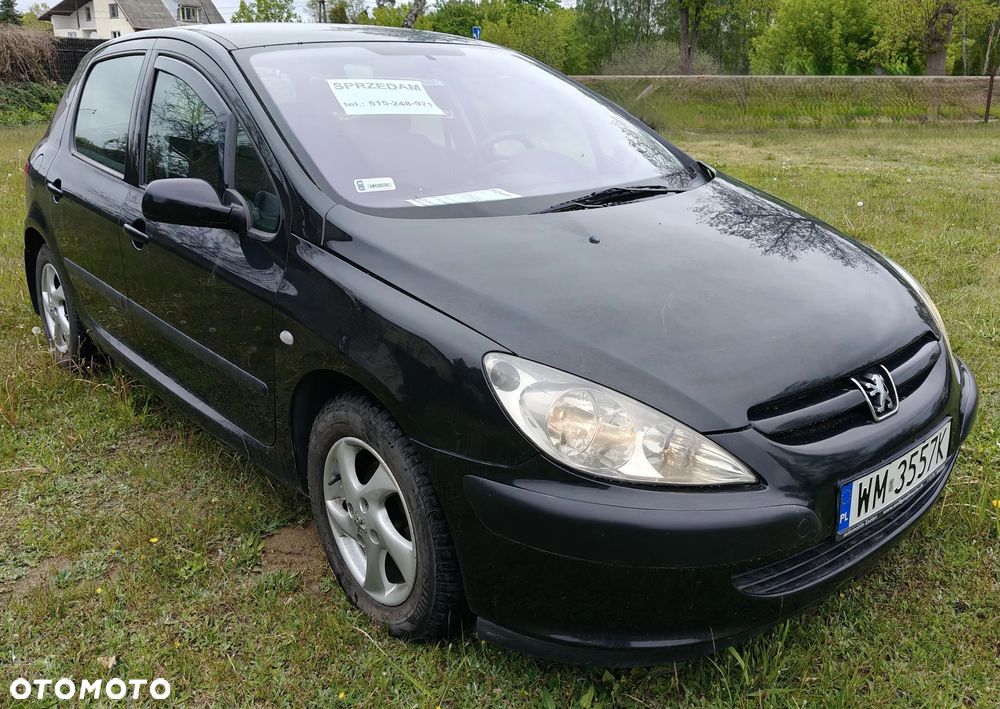 Peugeot 307 1.6 XS - 7