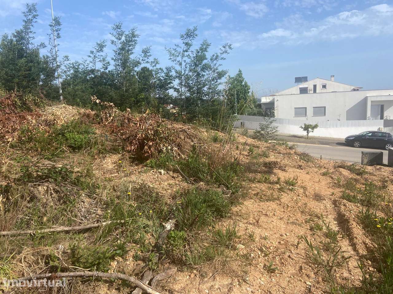 Lote de Terreno  Venda em Moita,Anadia - Grande imagem: 4/36