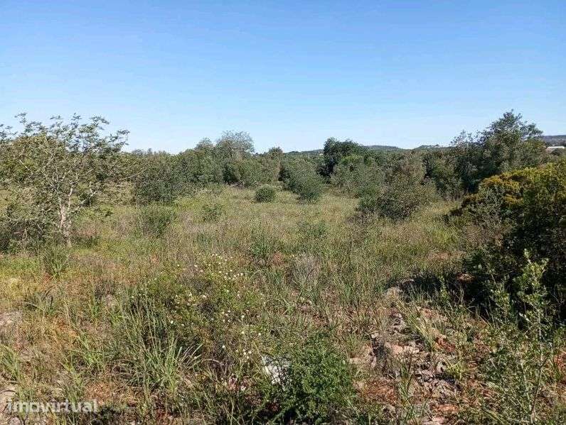 Terreno à venda no Mouricão - Grande imagem: 4/8