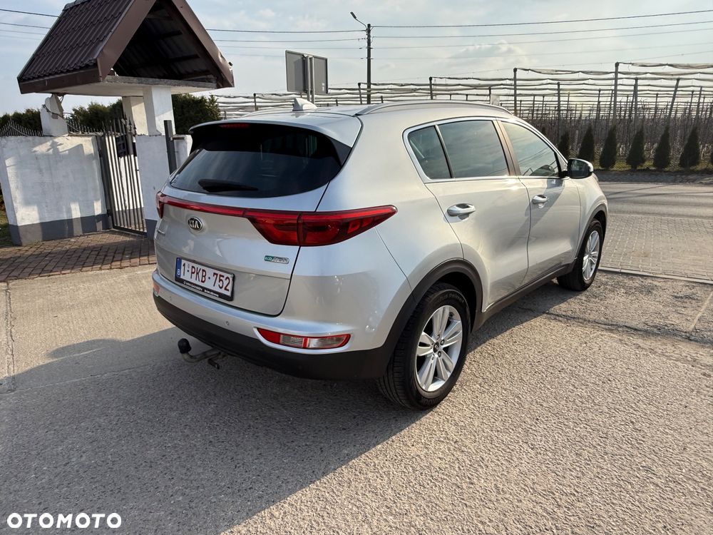 Kia Sportage - 6