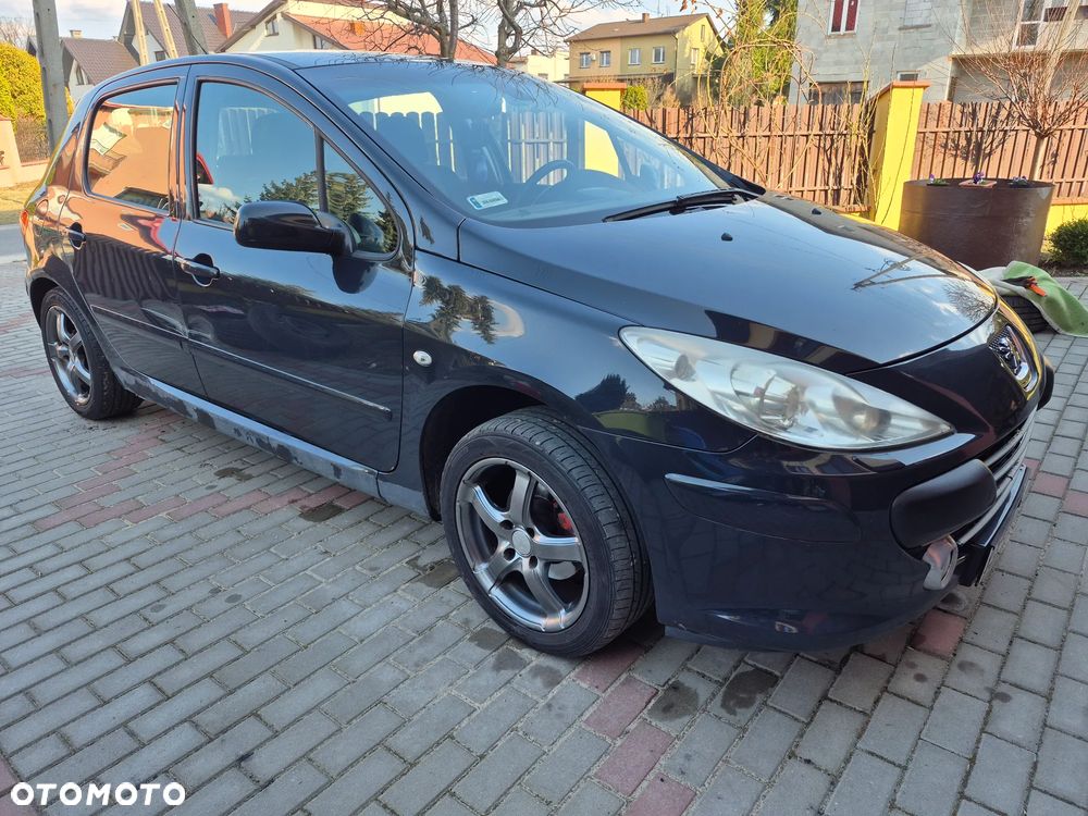 Peugeot 307 - 7