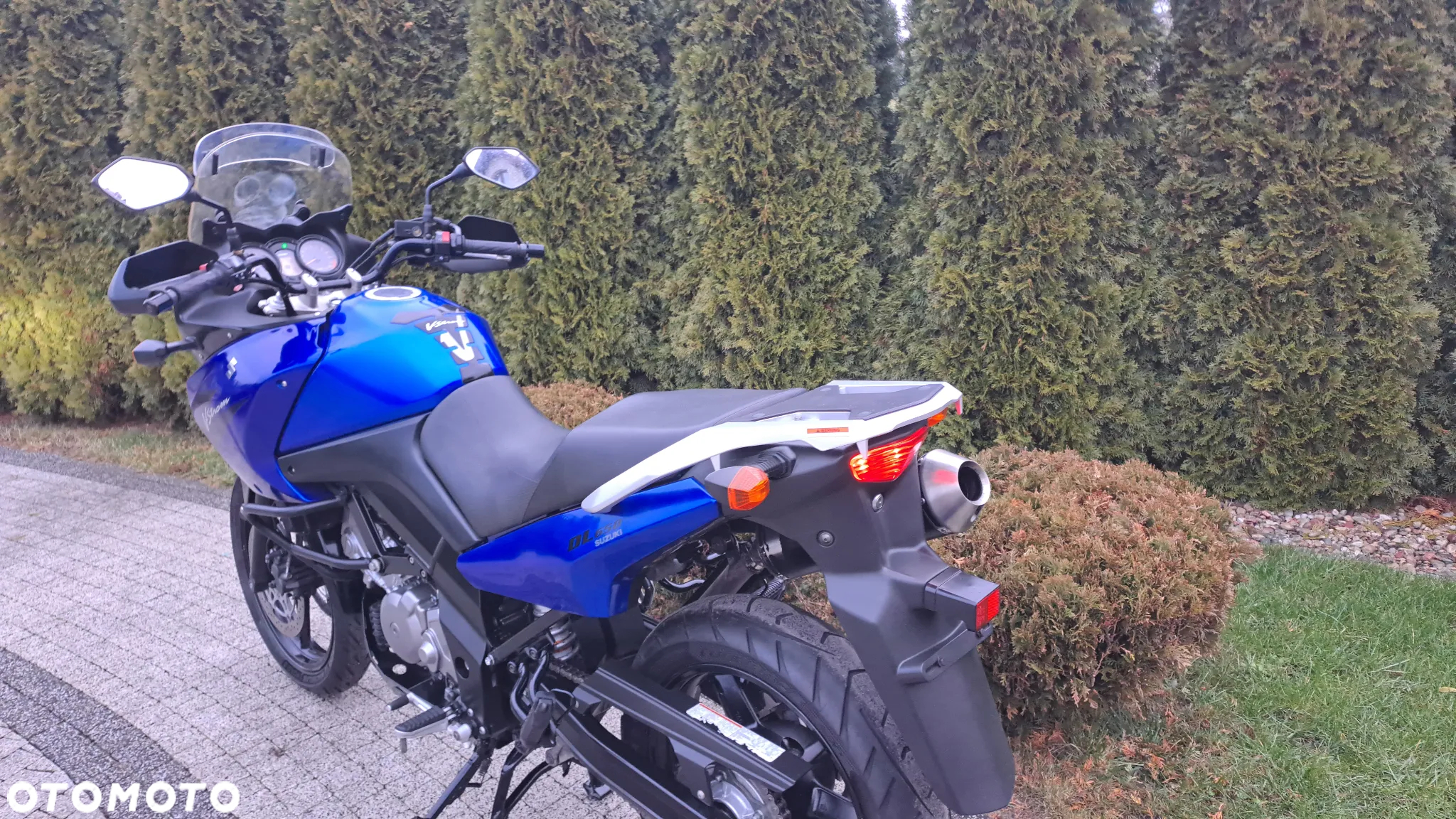 Suzuki DL - 39