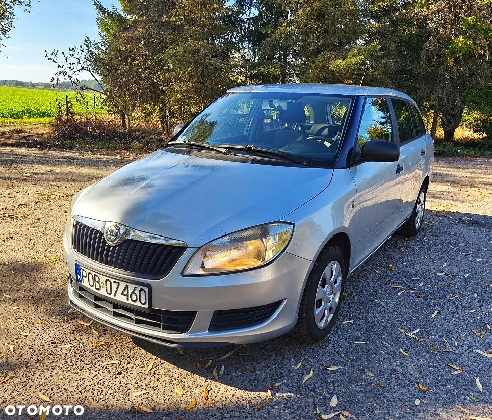 Skoda Fabia 2010 photo 2