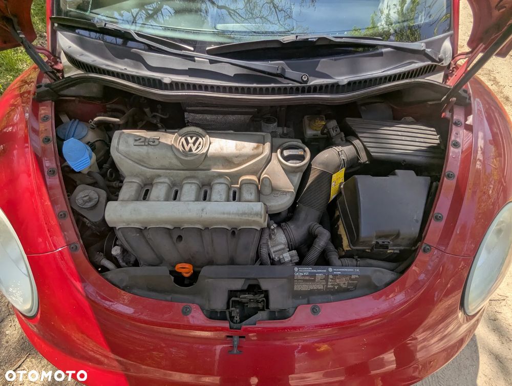 Volkswagen New Beetle - 20