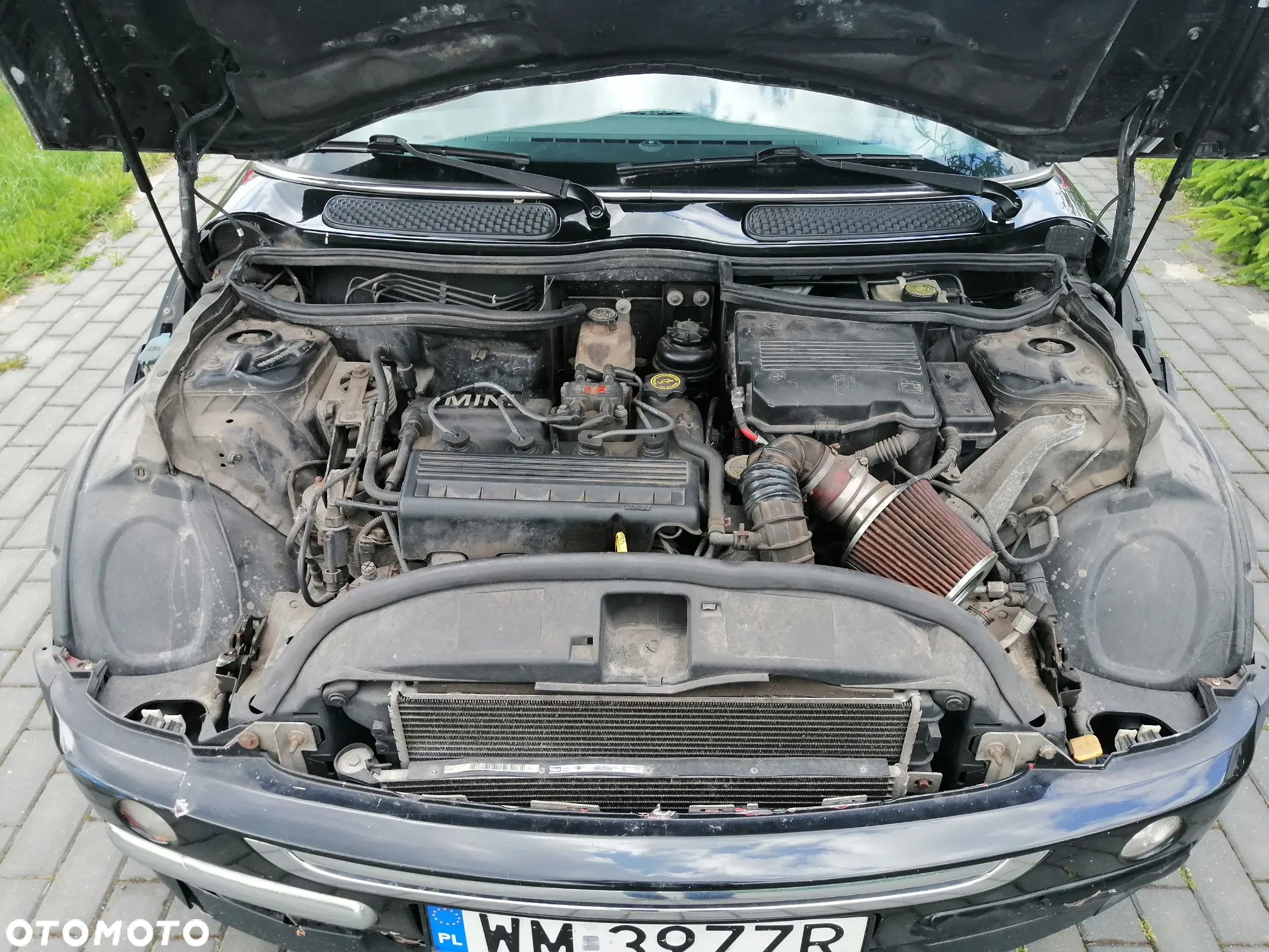 MINI Cooper Checkmate - 11