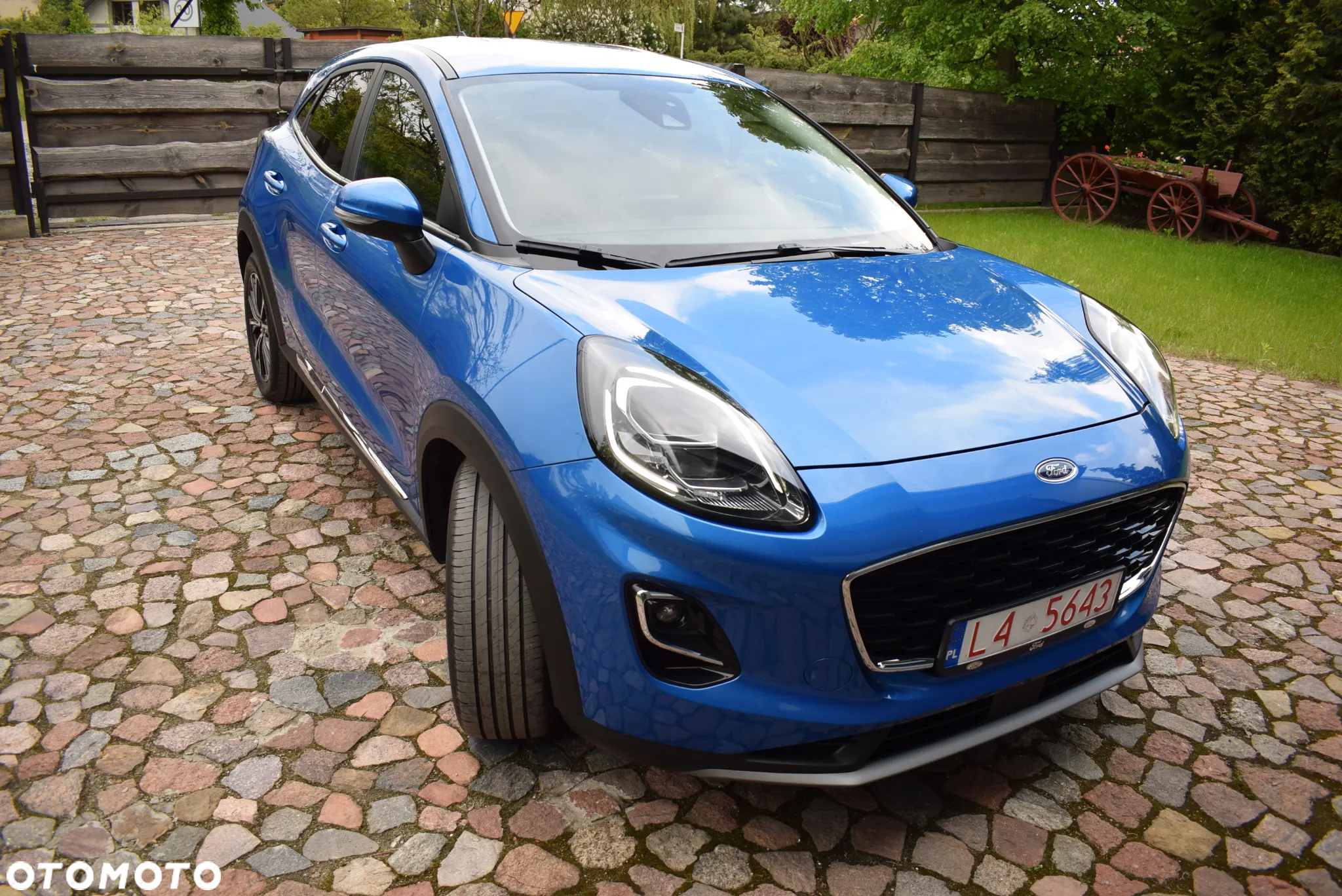 Ford Puma - 15