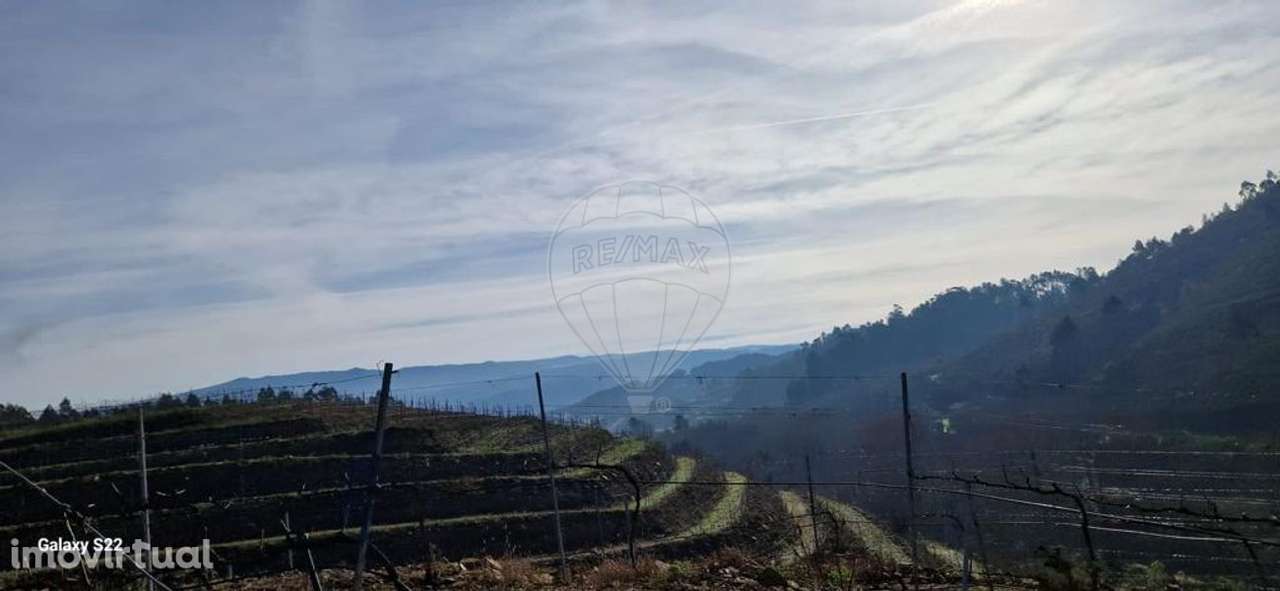 Quinta  para venda - Grande imagem: 4/9