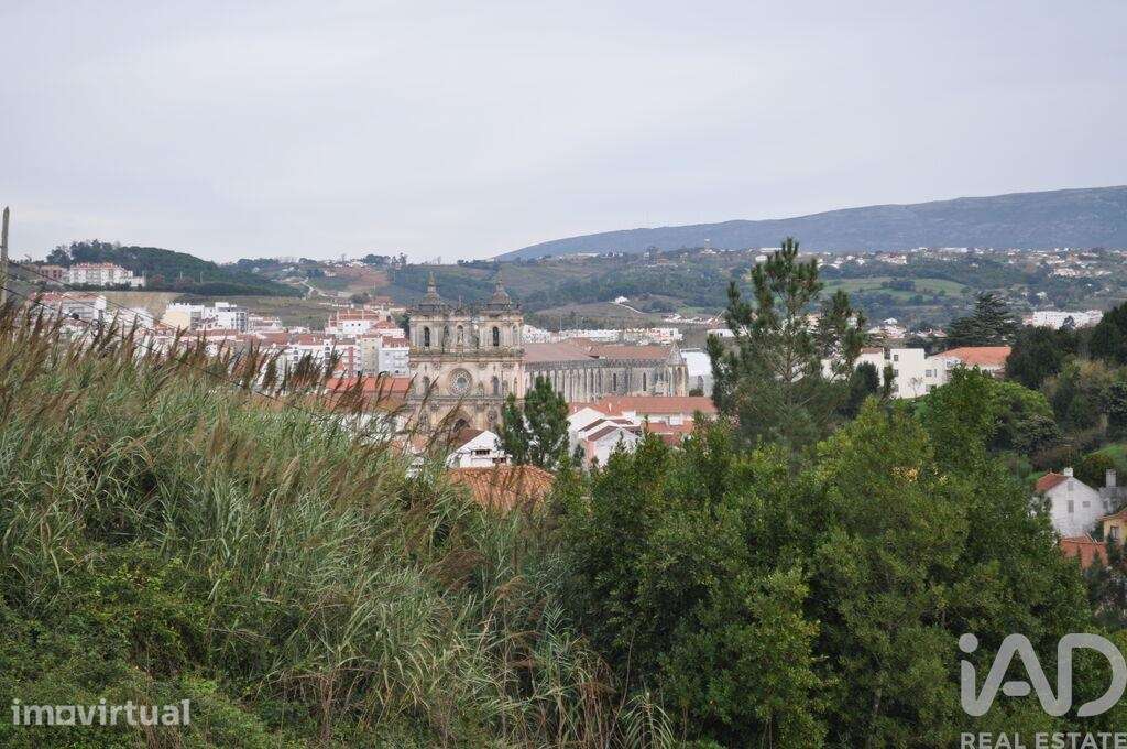 Terreno em Alcobaça e Vestiaria de 3454,00 m2 - Grande imagem: 4/8
