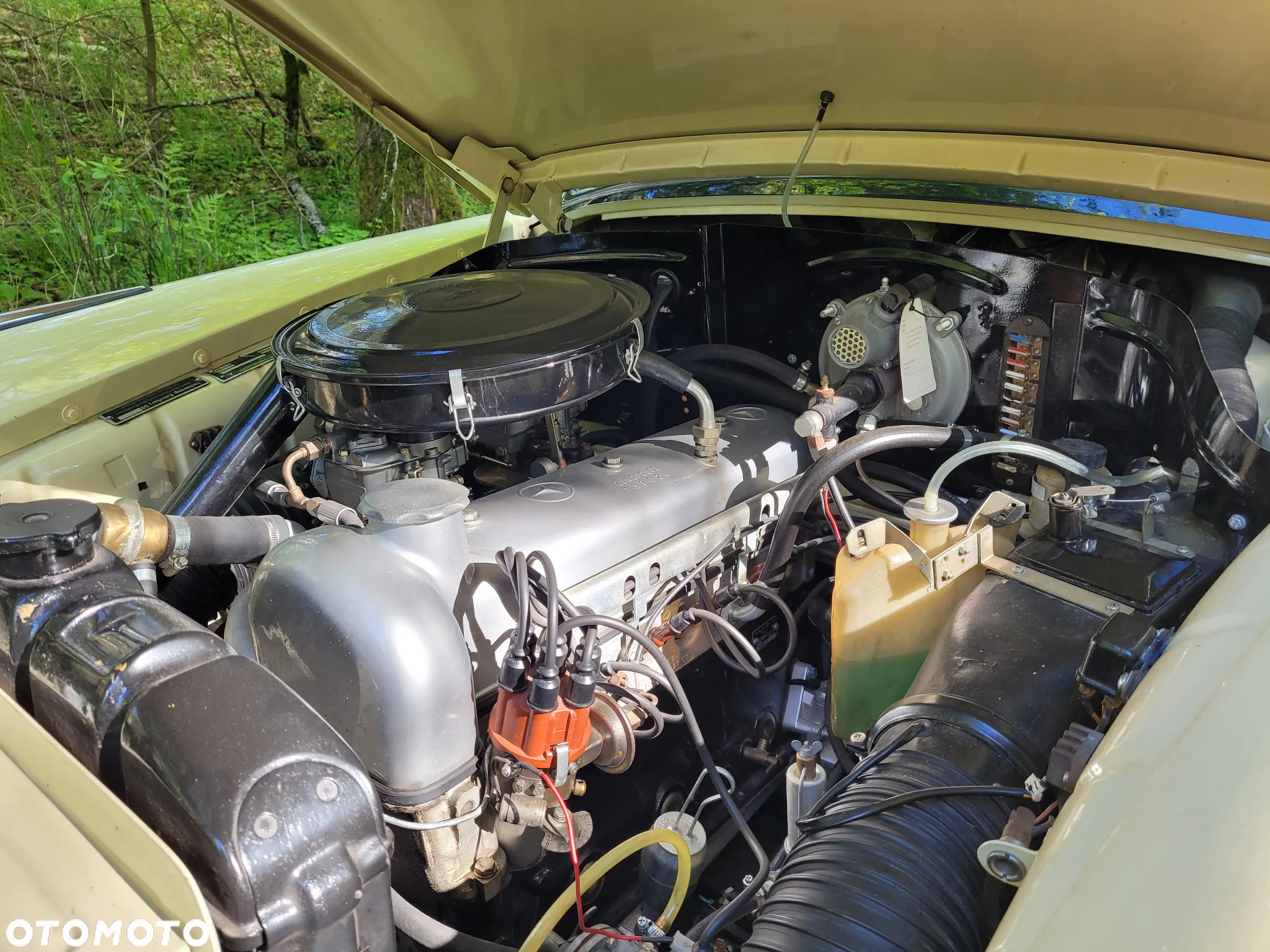 Mercedes-Benz Inny - 11