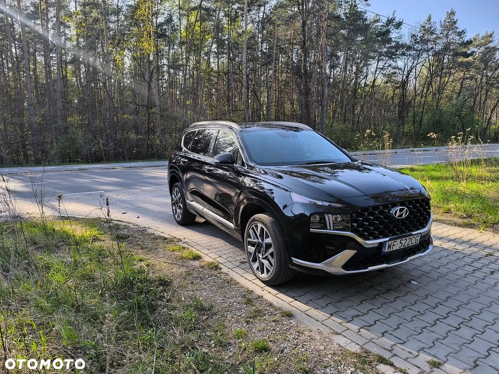 Hyundai Santa Fe - 17