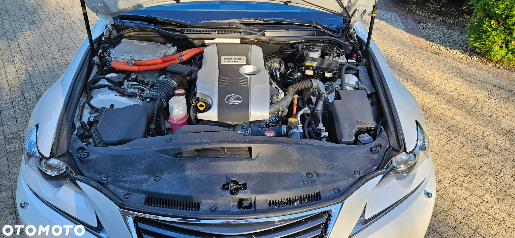 Lexus IS ver-300h-elegance - 19
