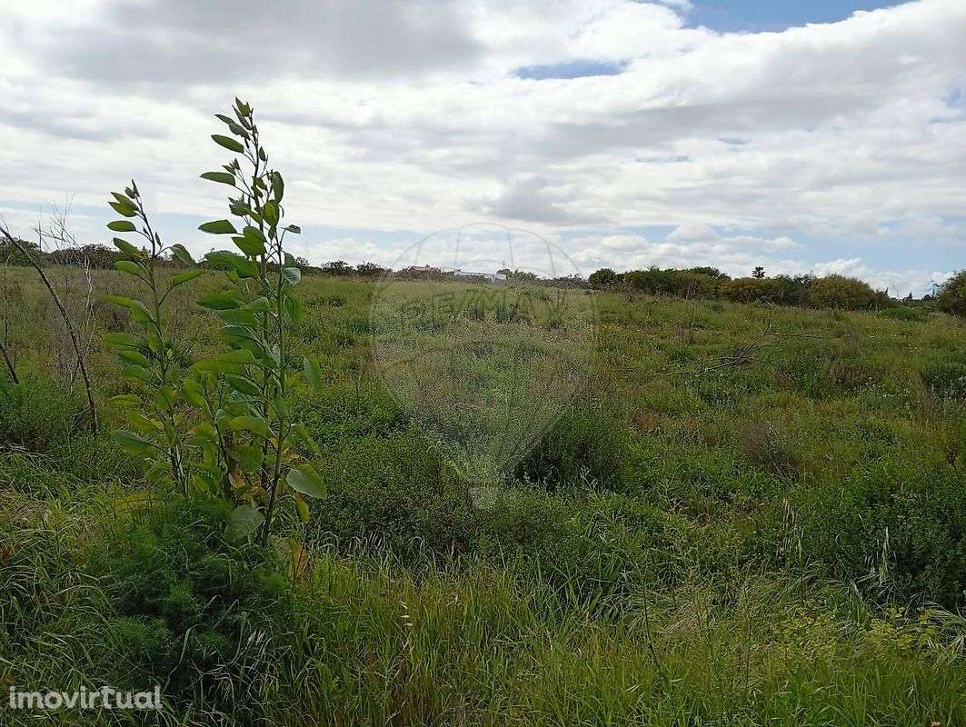 Terreno  para venda - Grande imagem: 4/7