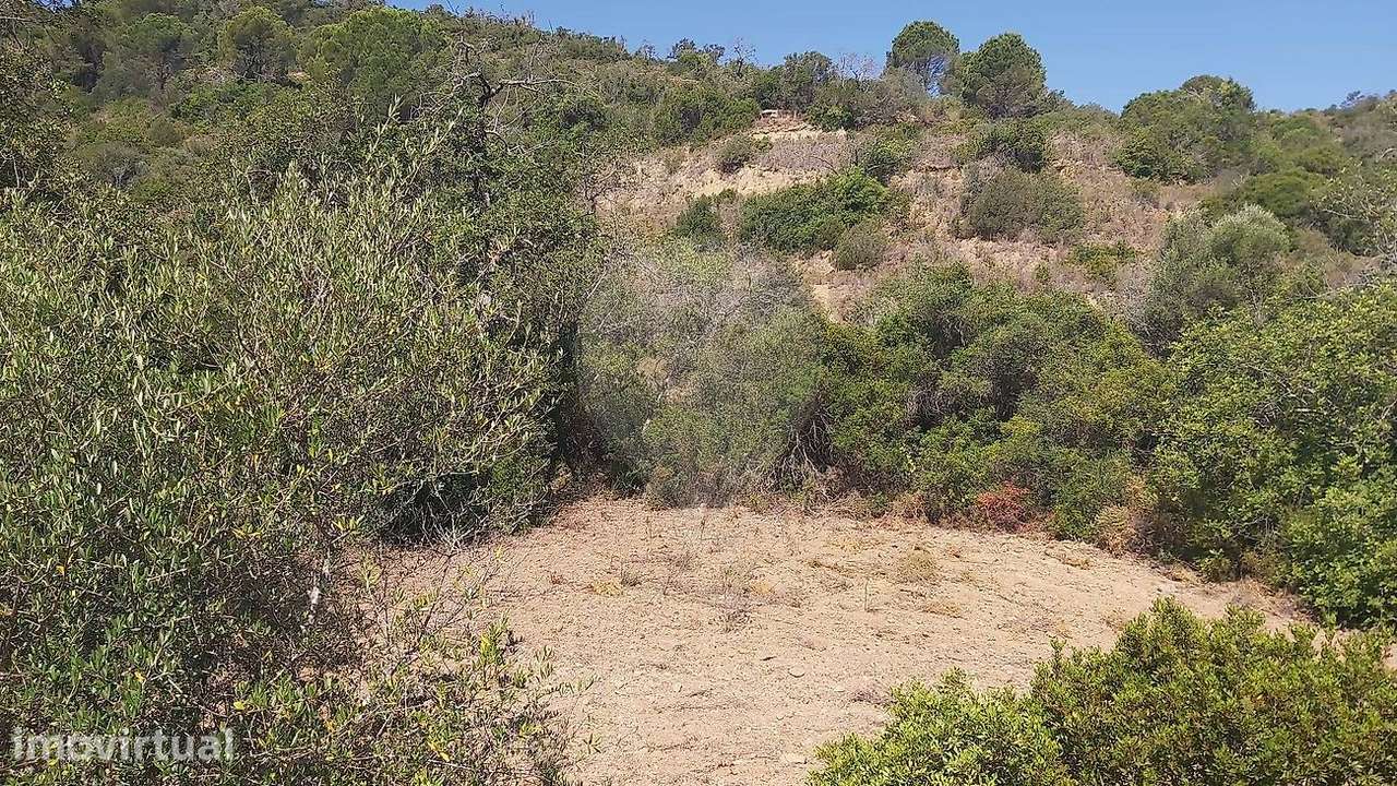 Terreno  para venda - Grande imagem: 3/9