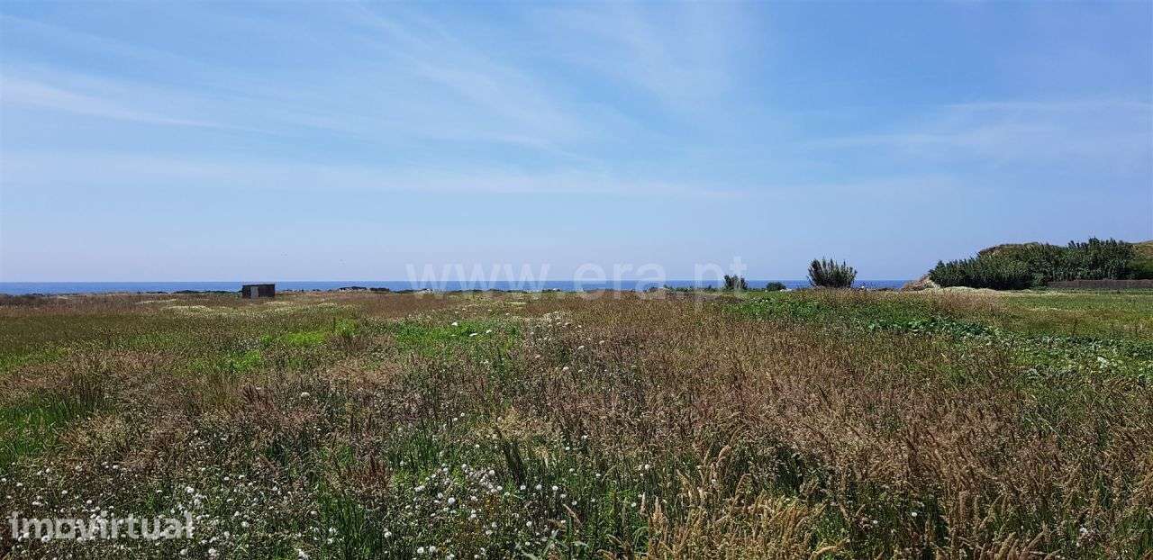 Terreno agricola junto ao Mar, Esposende - Grande imagem: 3/8