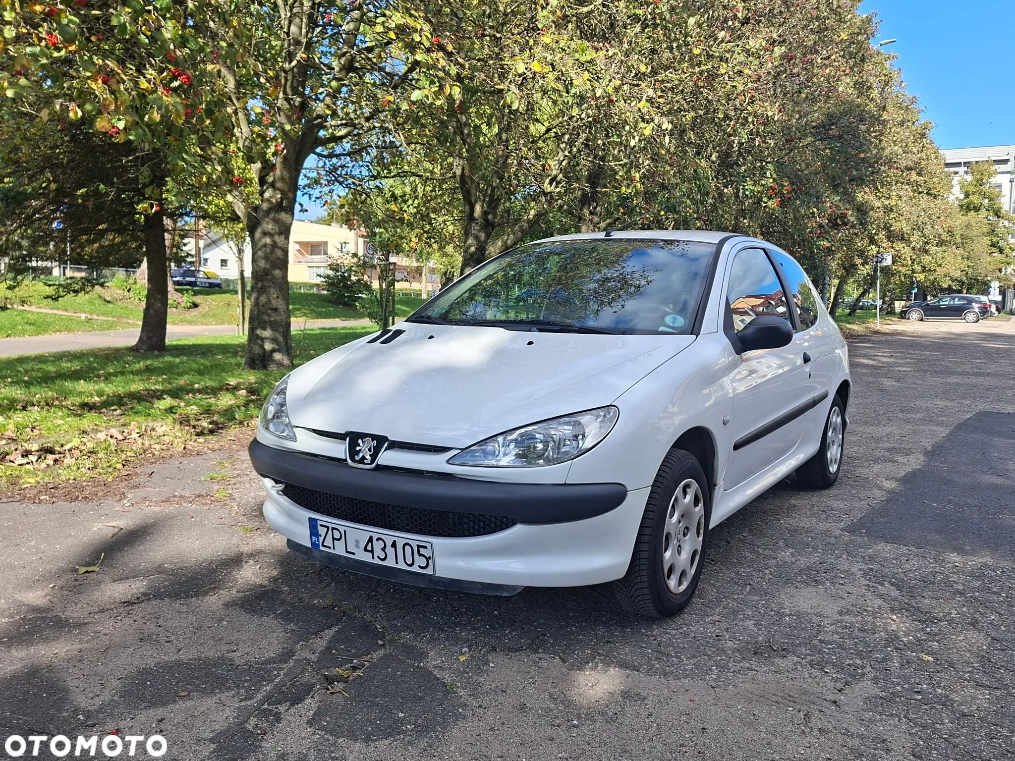 Peugeot 206 - 1