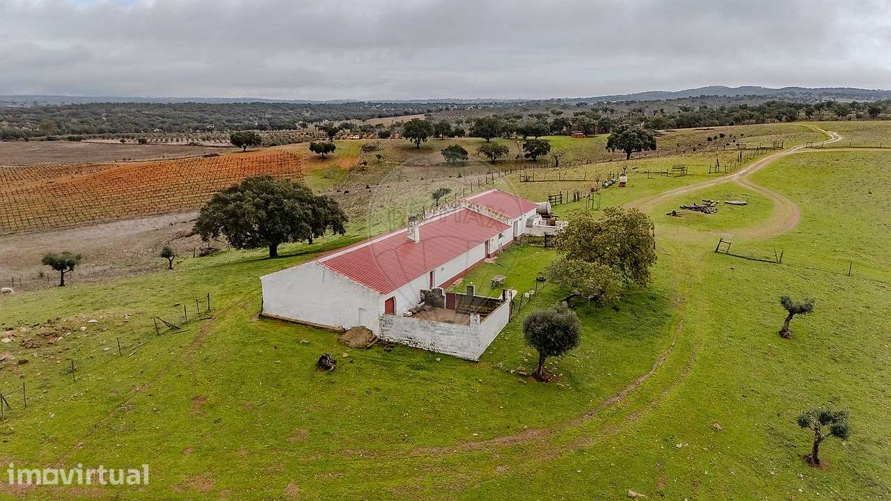 Quinta T1 para venda - Grande imagem: 4/15