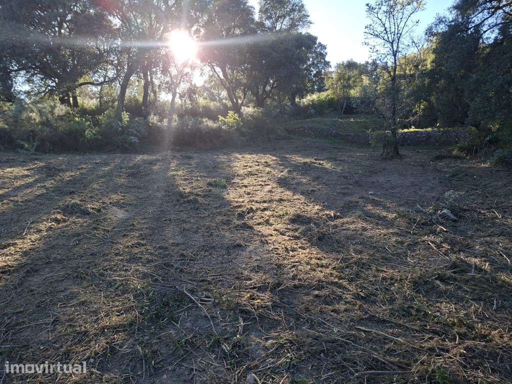 Terreno Agrícola - Telhado / Fundão - 10.000 m² - Grande imagem: 3/10