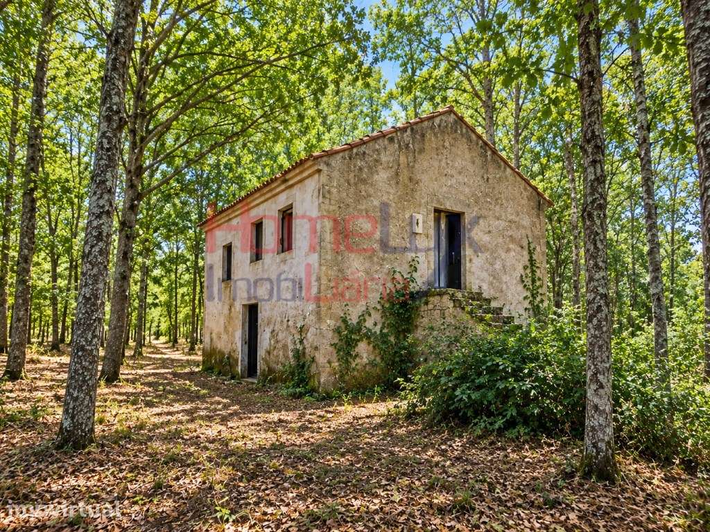 Quinta com Ruína em Germil, Penalva do Castelo - Grande imagem: 2/60