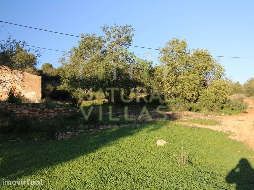 Ruína de Grandes Dimensões em Pechão, Olhão - Grande imagem: 4/7