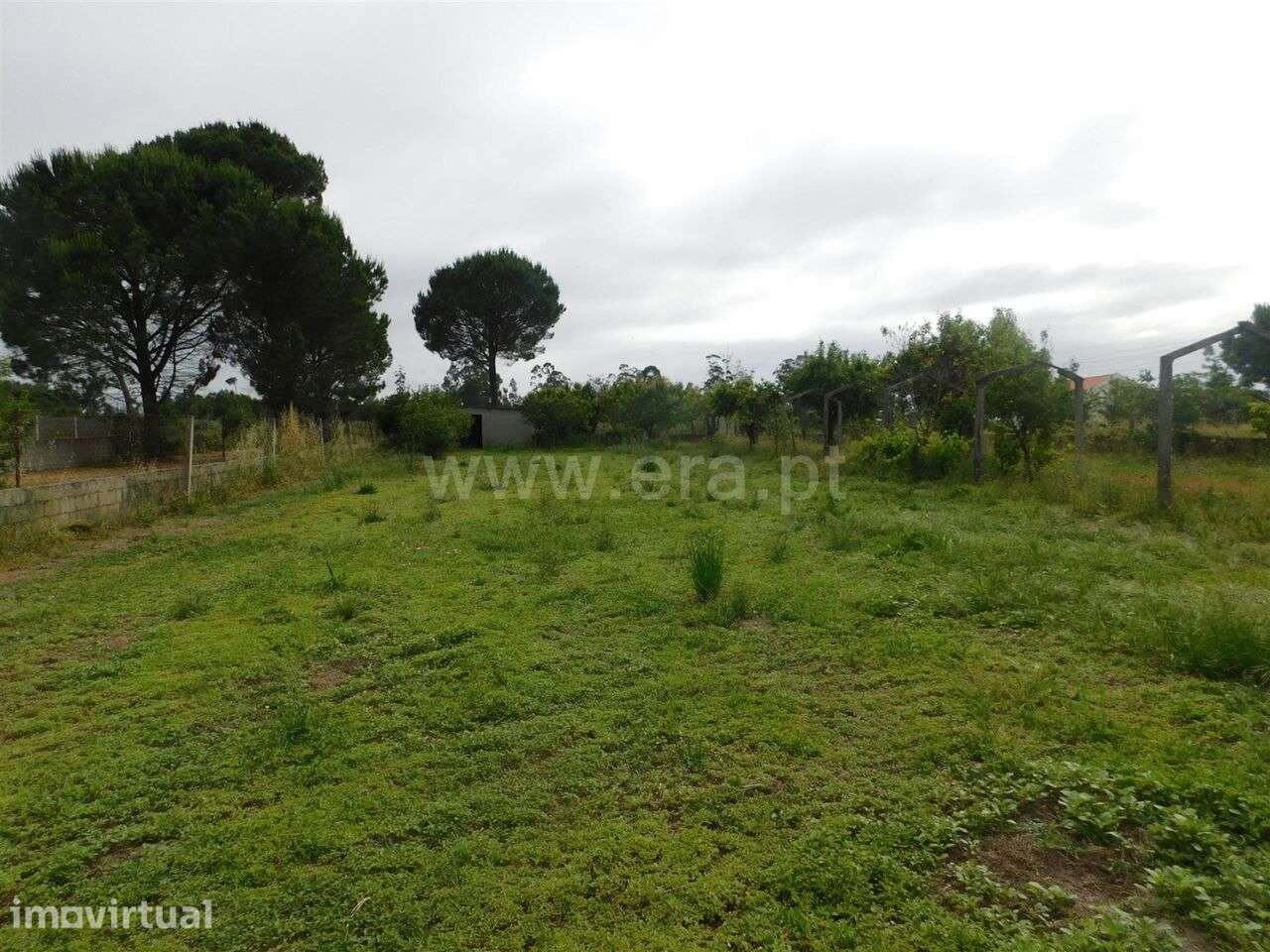 Moradia T4 / Oliveira do Hospital, Seixo da Beira - Grande imagem: 3/19